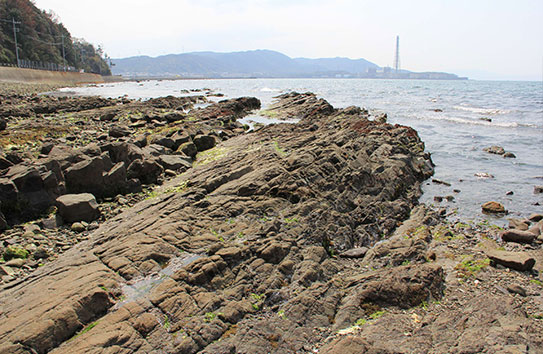 長松海岸